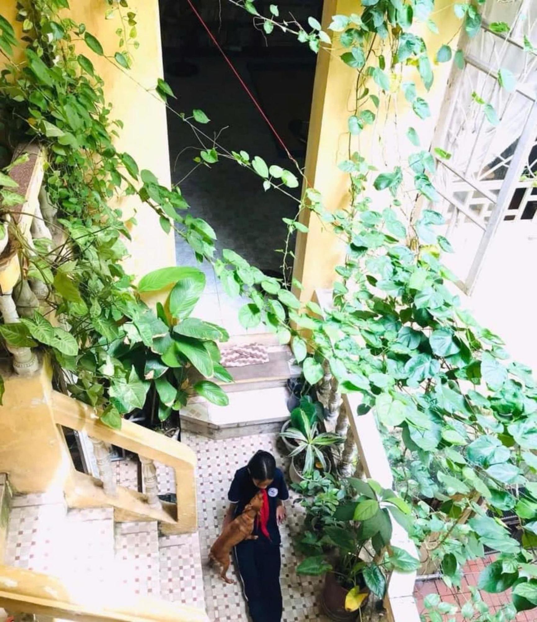 Azalea Apartment 河内 外观 照片