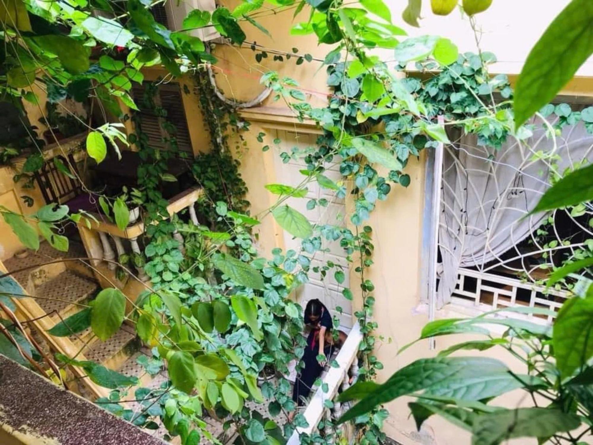 Azalea Apartment 河内 外观 照片