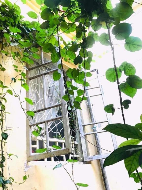 Azalea Apartment 河内 外观 照片